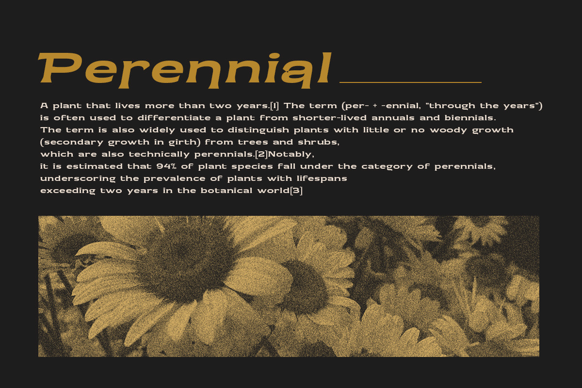 Moltern Blanc - Vintage Display Fon, a Sans Serif Font by Letterhend Studio (Photo 9 of 9)