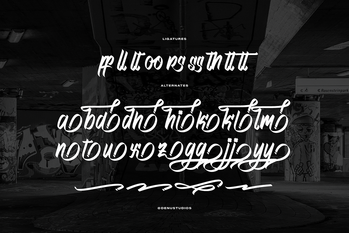 Phantom Asylum Graffiti Script Font, a Handwritten Font by Denustudios (Photo 12 of 12)