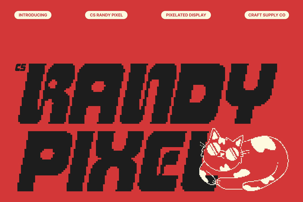 CS Randy Pixel, a Sans Serif Font by Craft Supply Co. (Photo 1 of 7)