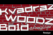 KvadratZ, a Sans Serif Font by Paratype (Thumbnail 1 of 2)