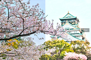 Japan Pro Lightroom Presets