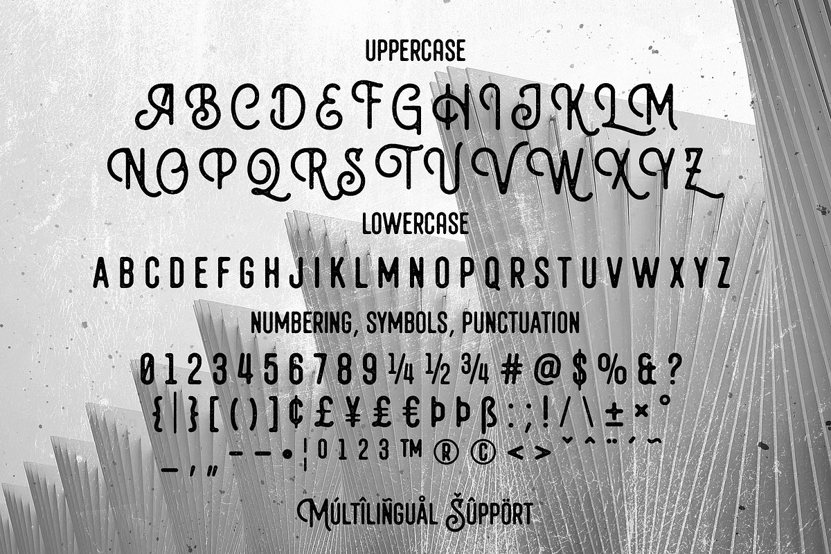 Bolandes - Vintage Monoline, a Sans Serif Font by Arterfak Project (Photo 11 of 14)