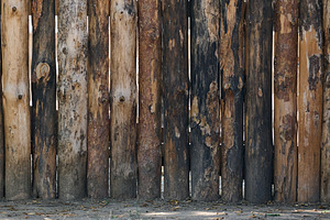 Wooden fence made of pointed logs with a rough, unfinished textu, a Nature Photo by ndanko