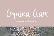 Coquina Clam Sans, a Sans Serif Font by Beck McCormick (Thumbnail 5 of 5)