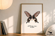HAND-DRAWN BUTTERFLY COLLECTION, an Object Graphic by Lazy Cat (Thumbnail 2 of 5)