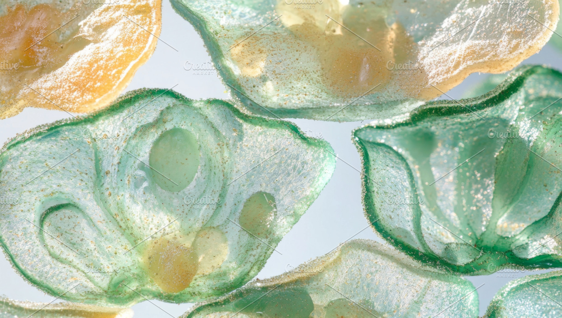 Plant cells close-up with intricate, a Photo by Dvoevnore photos