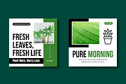 Botanical Social Media Post Template, a Social Media Template by MightyDesign (Thumbnail 4 of 8)