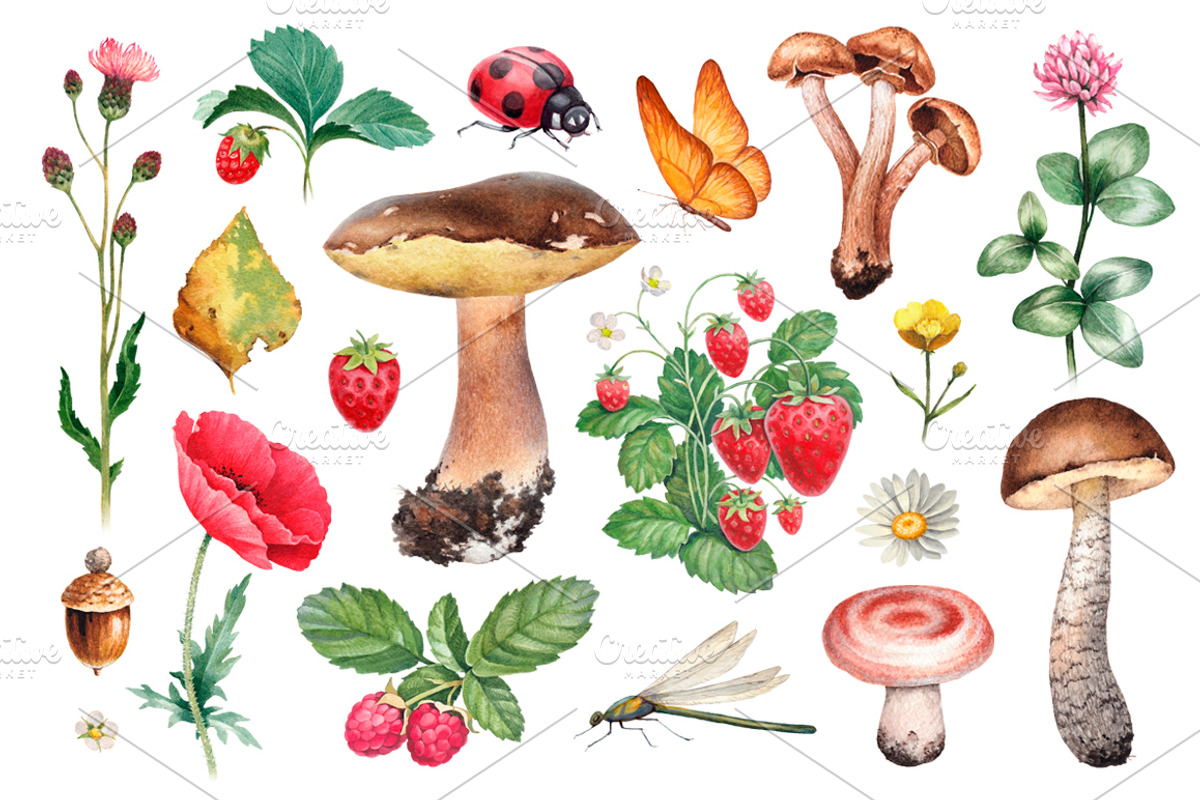 Summer nature illustrations kit, a Texture Illustration by Sundra (Photo 1 of 7)