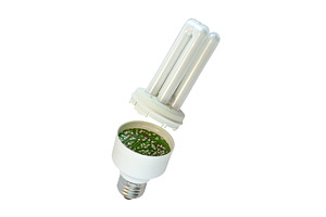 Disassembled compact fluorescent lamp, a Technology Photo by Leonid Andronov