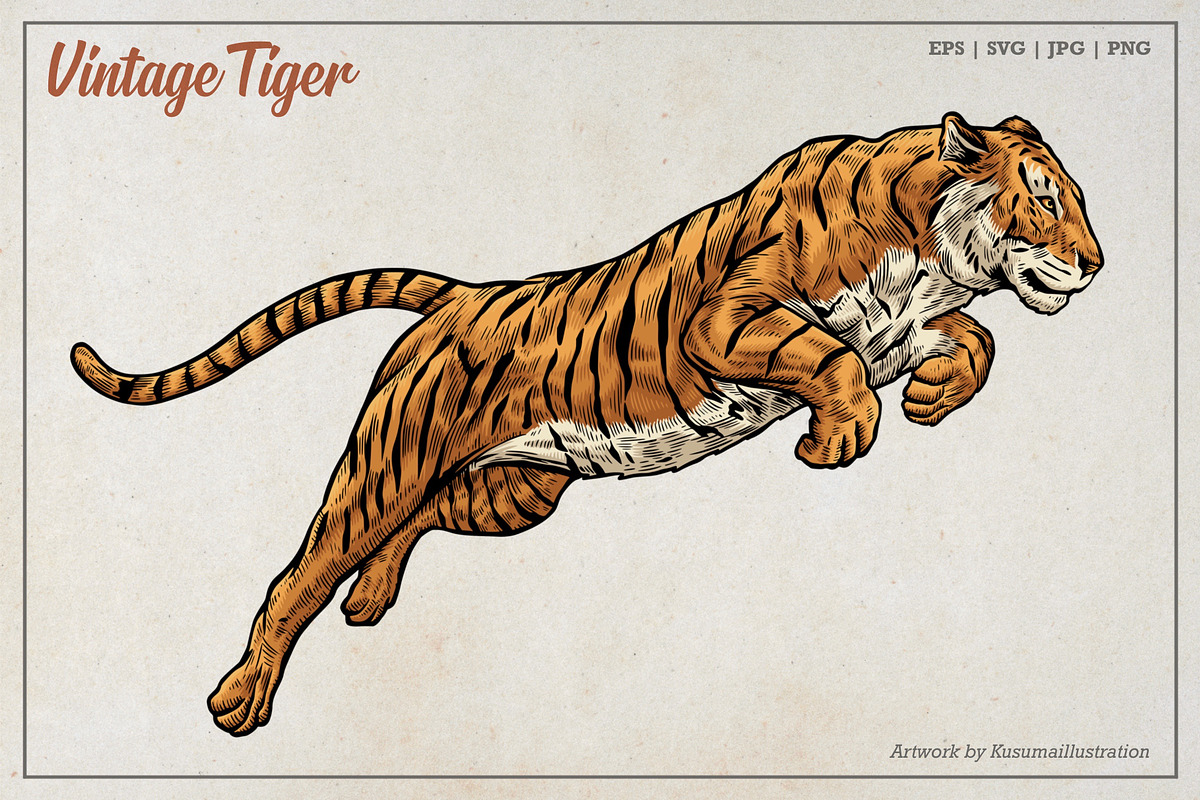 Vintage Tiger Engraving Art, an Animal Illustration by Kusumaillustration (Photo 4 of 6)