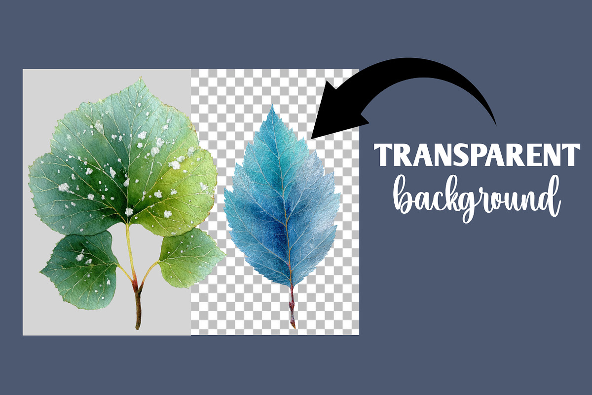 Winter Leaves PNG Graphics Clipart, an Illustration by Designworld (Photo 2 of 6)