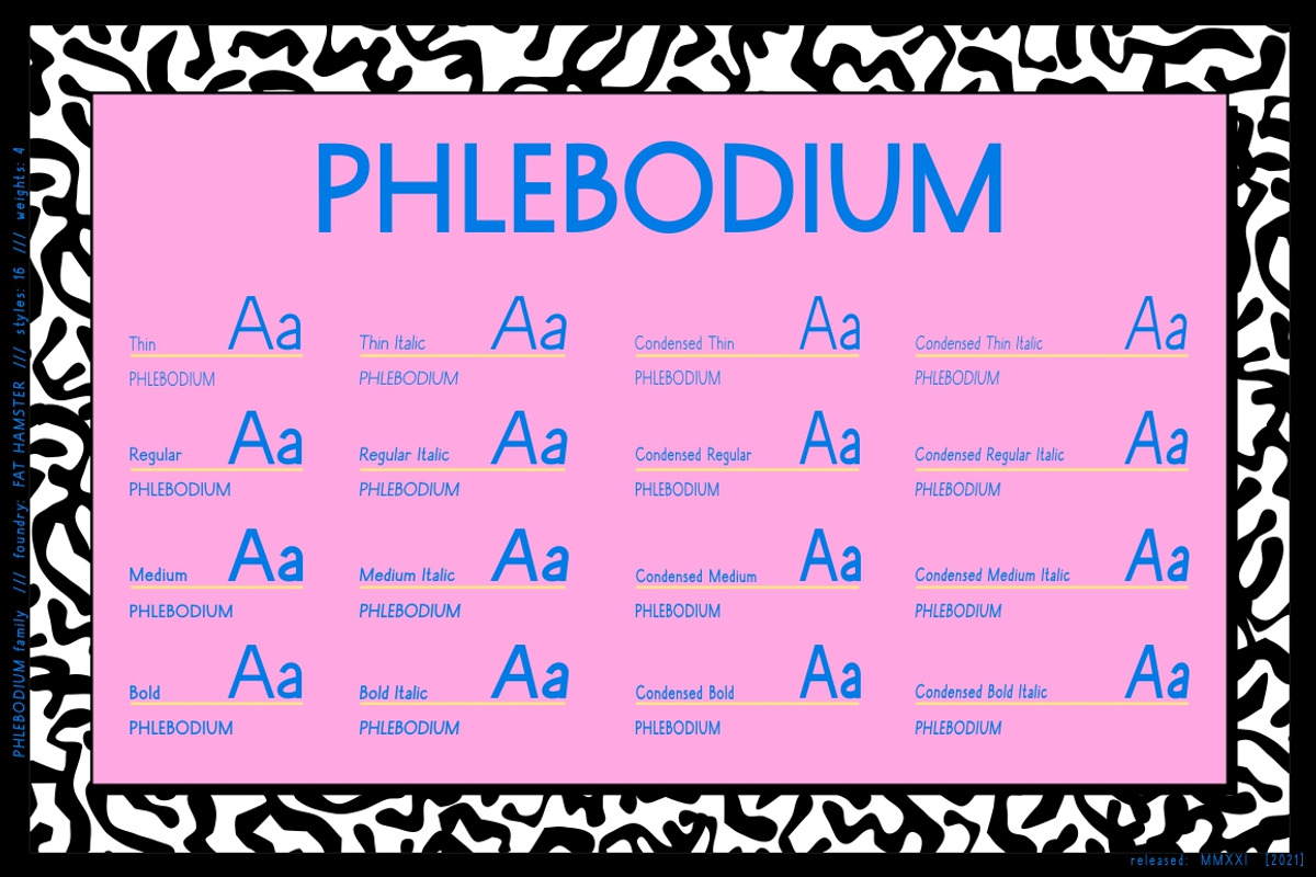 Phlebodium sans serif font 80s 90s, a Sans Serif Font by Fat Hamster (Photo 4 of 9)