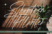 Political Otthestic Modern Script, a Script Font by stylishtype.co (Thumbnail 16 of 20)
