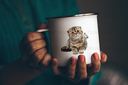 Scottish Fold Cat Clipart, Cat Breed, an Animal Illustration by BrushstrokeArtGB (Thumbnail 9 of 9)