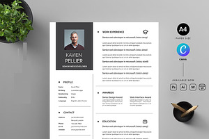 Clean Resume CV