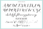 Fashionista Black, a Script Font by Emily Spadoni (Thumbnail 10 of 10)