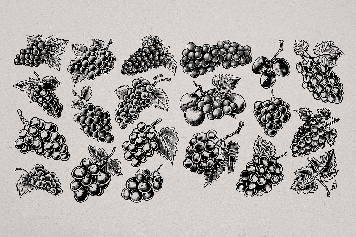 Hand Drawn Wine Vector Set, a Food Illustration by Alternate Studio (Photo 4 of 10)