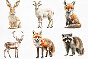 Watercolor Wildlife Nature Animals, an Illustration by Craft Nest (Thumbnail 4 of 6)