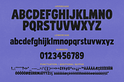 AG SNAX DISPLAY, a Sans Serif Font by Ant Gardner (Thumbnail 3 of 5)