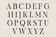 Montegar - Elegant Celestial Serif, a Serif Font by Lettertype Studio (Thumbnail 11 of 15)