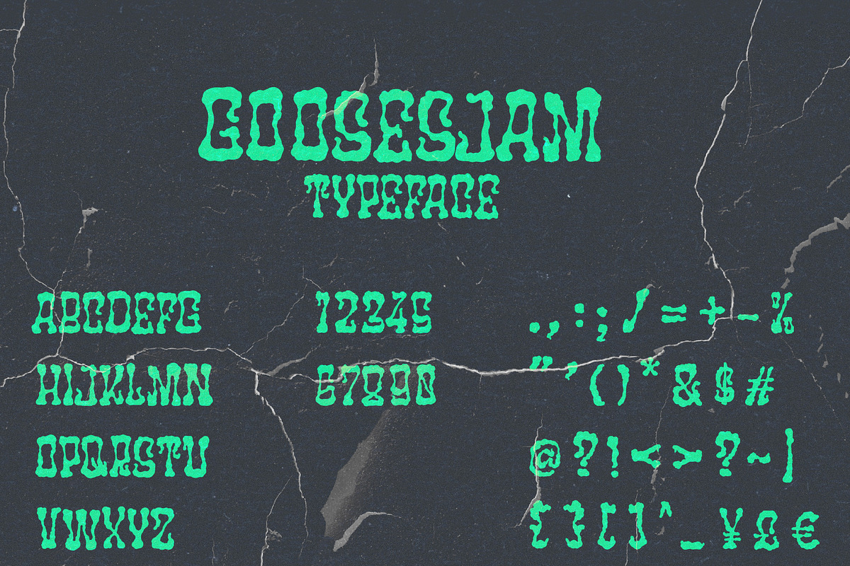 Goosesjam Typeface, a Font by Naturaworks Creative (Photo 2 of 4)
