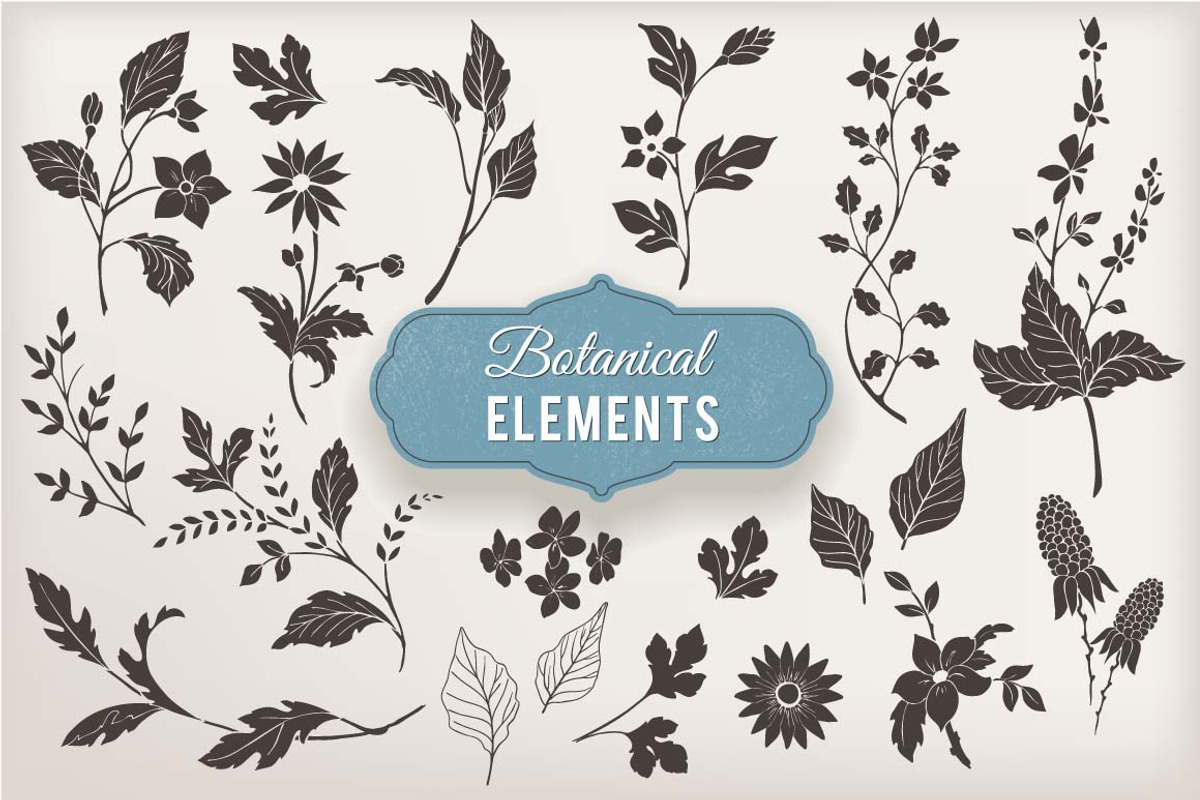 Hand Drawn Botanical Vector Elements, an Illustration by Solana (Photo 1 of 5)