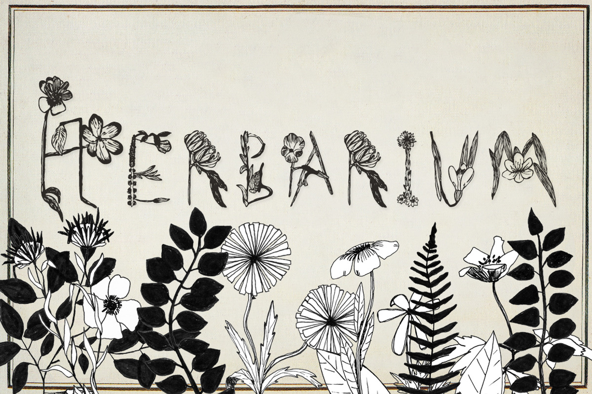 Herbarium preview 2