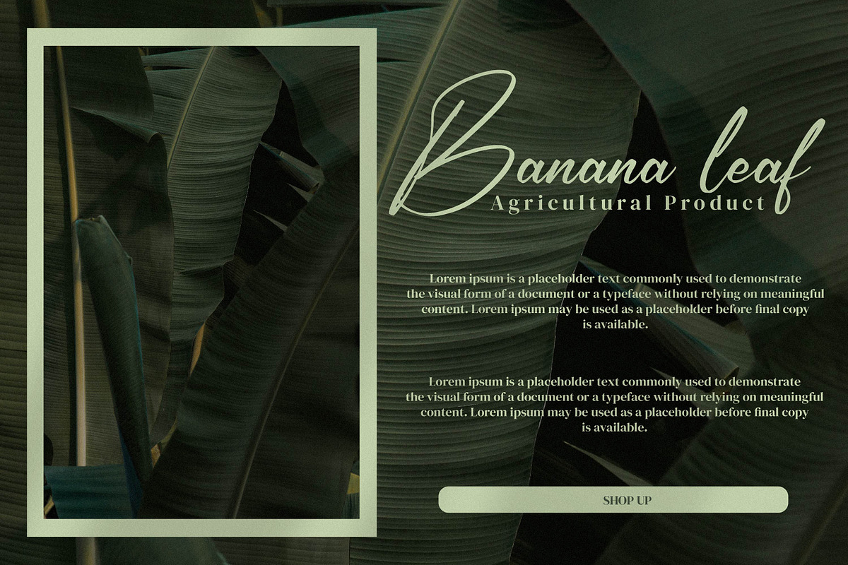 Rikudonata, a Handwritten Font by Integritype Studio (Photo 3 of 15)
