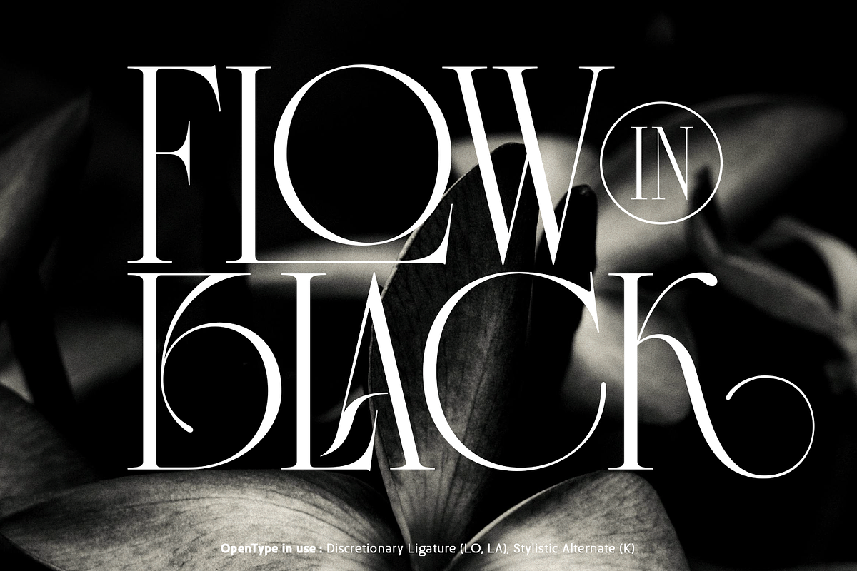 Chiro, a Serif Font by Sign Studio (Photo 2 of 13)