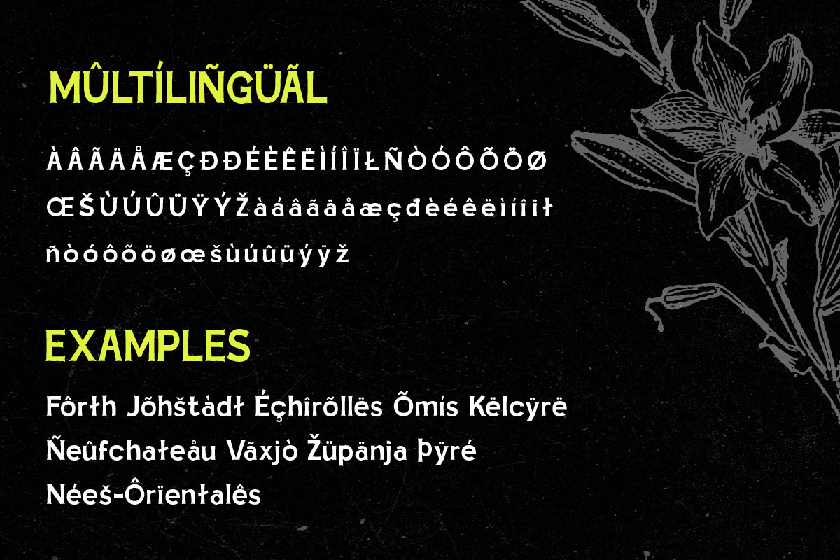 Dipeko - Retro Font, a Slab Serif Font by trabaskriya (Photo 3 of 8)