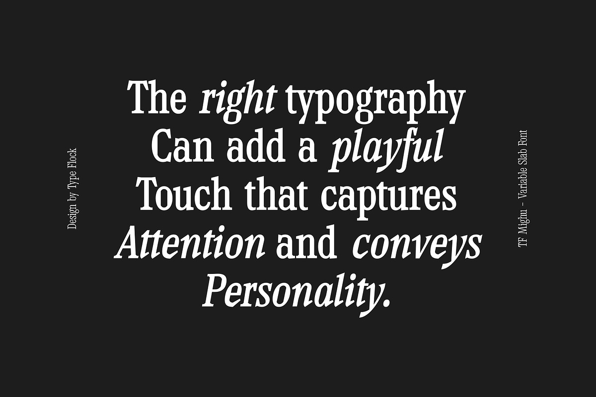 TF Mighu - Modern Slab Serif, a Serif Font by Type Flock (Photo 13 of 15)