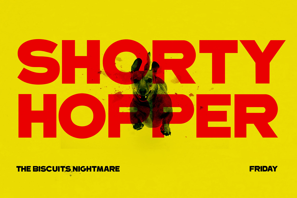 Rearden - Sans Serif Font, a Sans Serif Font by CorgiAstronaut (Photo 3 of 8)