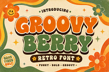roovy Berry – Retro Bubble Font