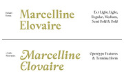 Panasea | 12 Fonts, a Serif Font by Skinny Type (Thumbnail 11 of 15)