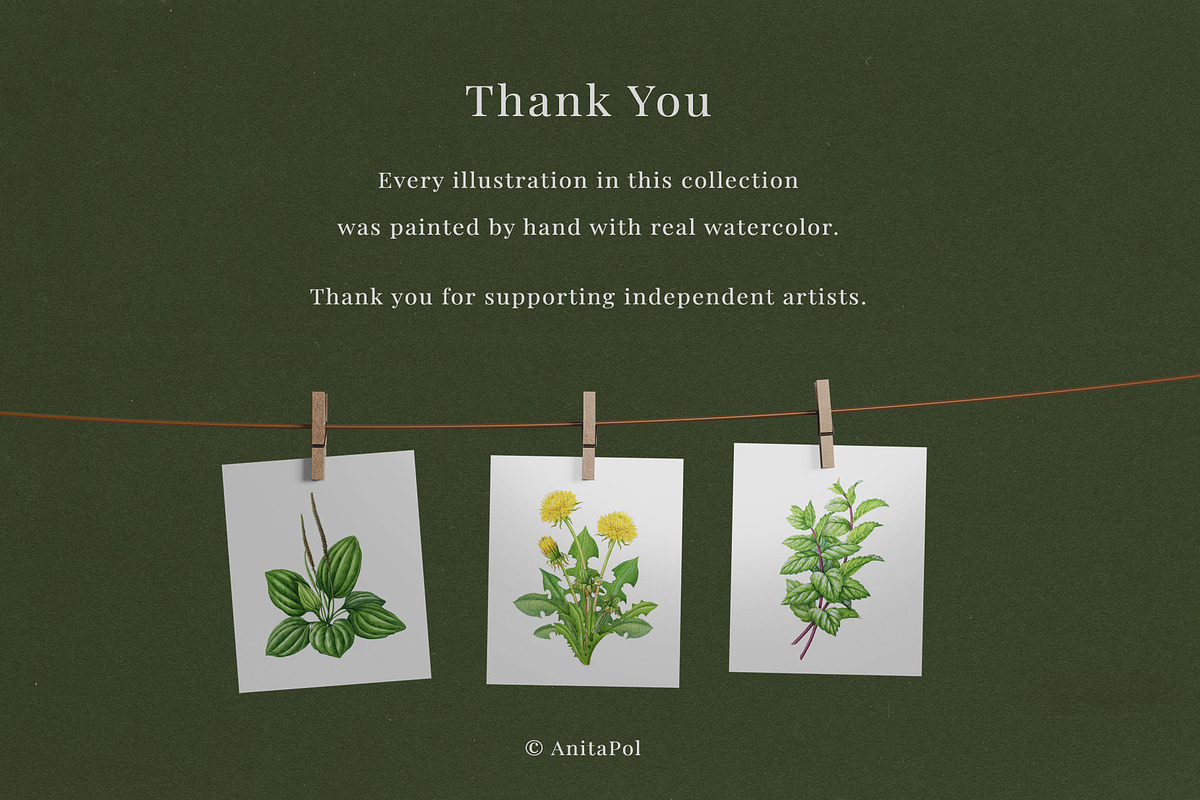 Herbal Apothecary Brand Kit, a Healthcare Illustration by AnitaPol (Photo 18 of 18)