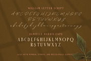 William Letter Signature Script, a Script Font by Letterhend Studio (Thumbnail 9 of 9)