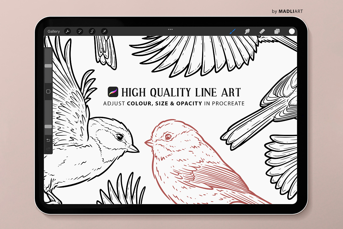 Chickadee Bird Procreate Stamps, a Shape Add-On by MadliArt (Photo 3 of 5)
