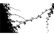 Hanging Vines Silhouette, an Object Graphic by Creativeshirt (Thumbnail 2 of 20)