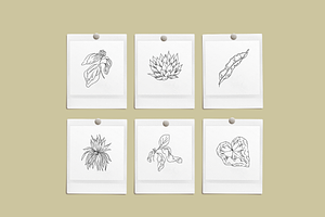 Botanical Sketchbook Vectors