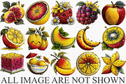 Whimsical Summer Fruits Clipart PNG, an Illustration by Canvas Craft (Thumbnail 3 of 7)