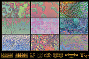 Coral Textures, a Texture Graphic by Kapoor Design Empire (Thumbnail 4 of 8)