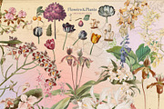 Incredible Collage, an Object Graphic by nadispasibenko (Thumbnail 9 of 15)