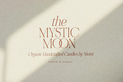NOIR et BLANC Stylish Serif, a Serif Font by Nicky Laatz (Thumbnail 23 of 41)