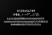 Ireene Serif 3 Font Family Pack, a Serif Font by Creativetacos (Thumbnail 4 of 6)