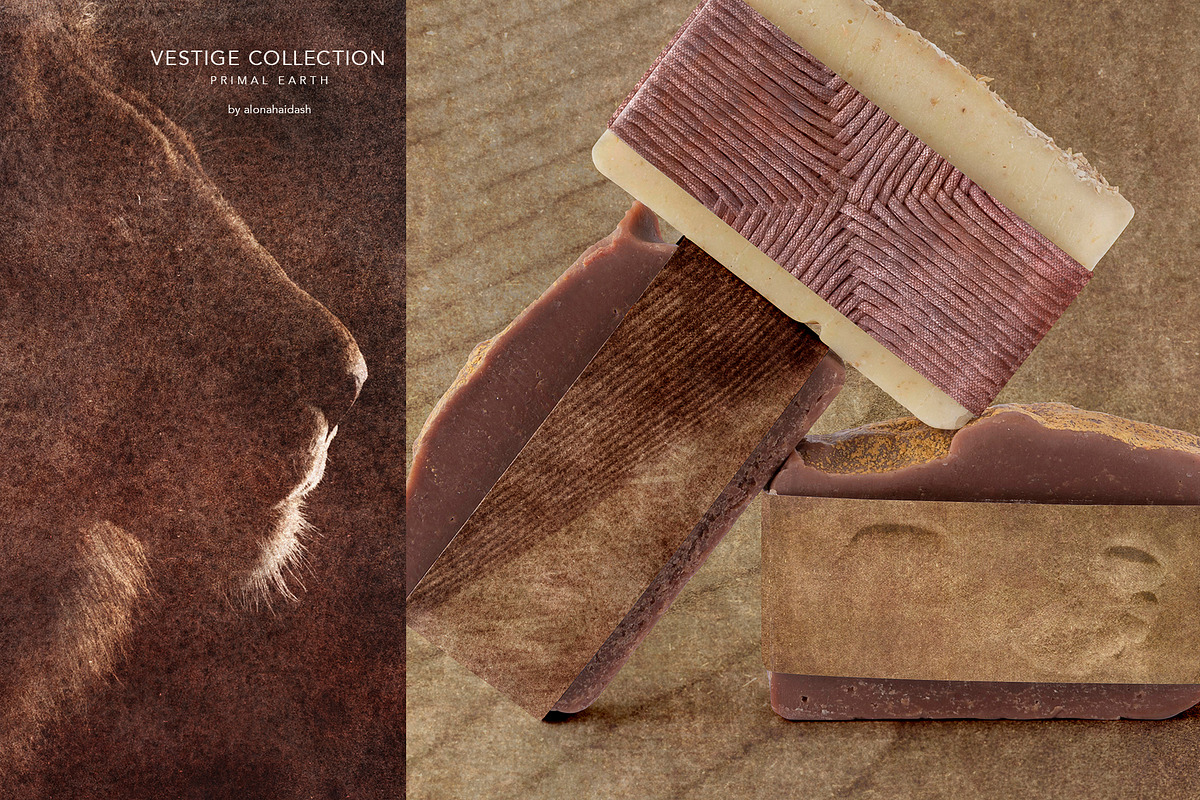 Vestige · Primal Earth Backgrounds, a Background Graphic by alonahaidash (Photo 13 of 16)