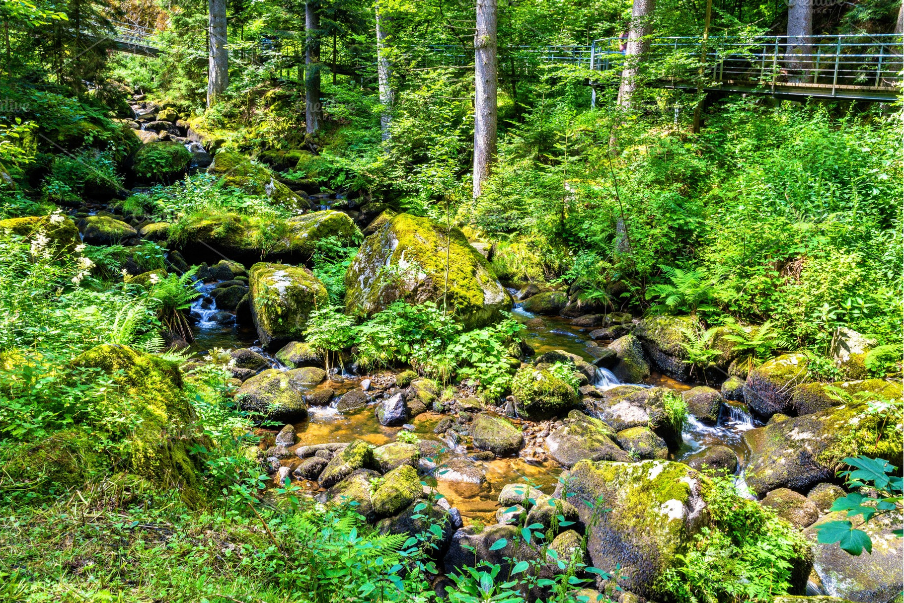 The Gutach river at the foot of Triberg Falls in Germany, a Nature Photo by Leonid Andronov