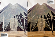 Analog Matte Lightroom Presets, a Preset Add-On by ARTSYNO (Thumbnail 3 of 4)