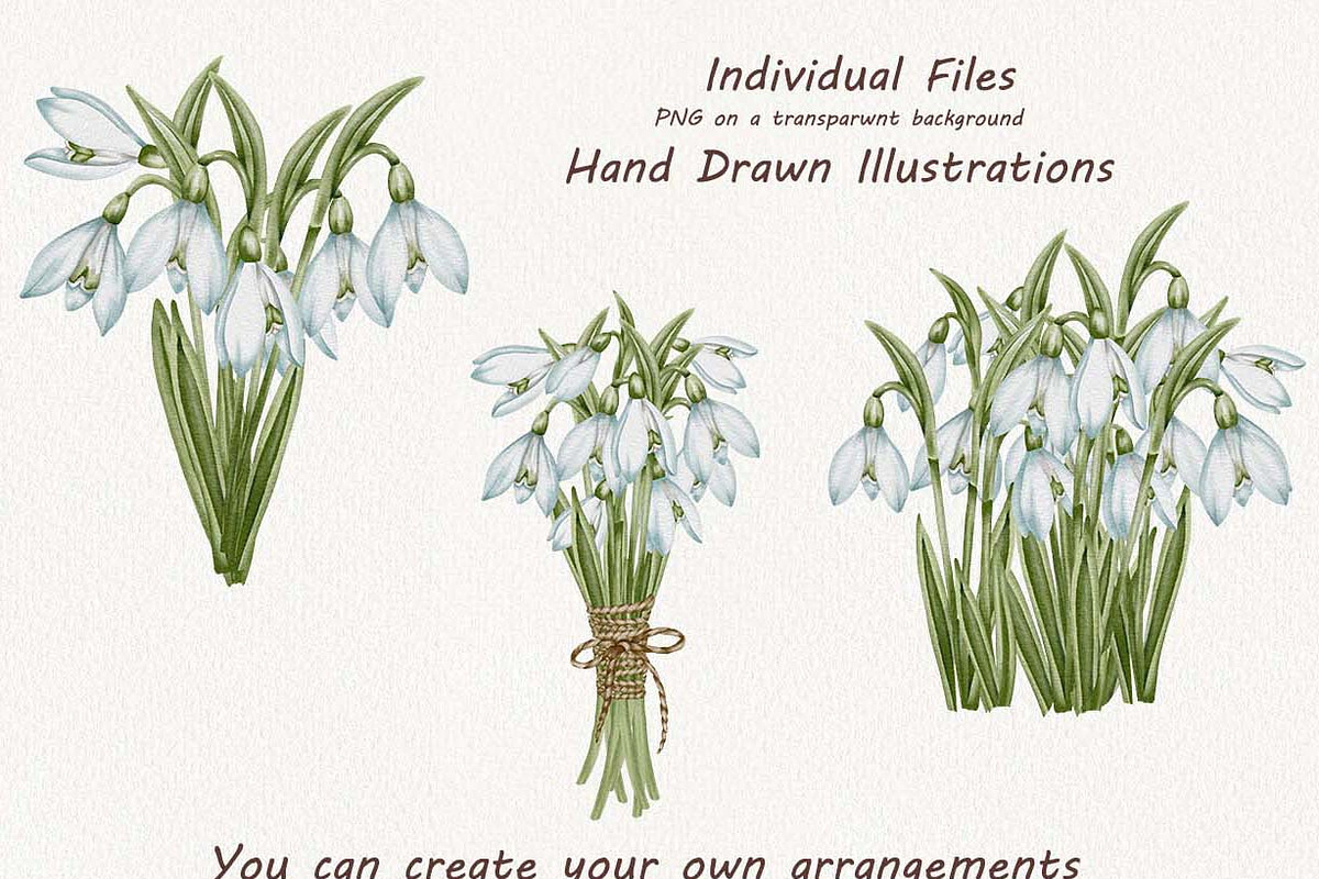 Snowdrops Hand Drawn Clipart, a Seasonal Illustration by BarvArt (Photo 4 of 5)