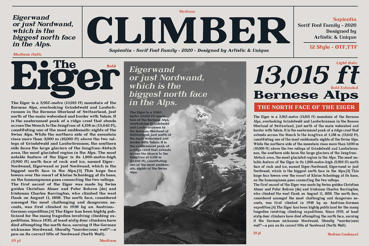 Sapientia - Serif Font Family, a Serif Font by Artistic & Unique (Photo 7 of 12)