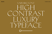 Biarritz Luxury Editorial Serif, a Serif Font by Genilson Santos (Thumbnail 14 of 17)